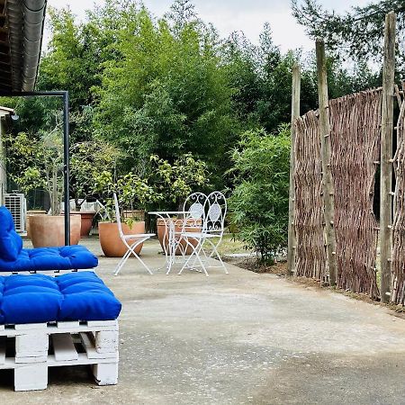 Casa Azul - Jardin, Calme, Tennis Nîmes Eksteriør billede